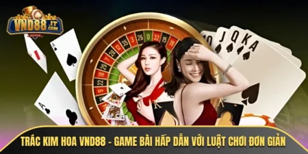 trac kim hoa vnd88